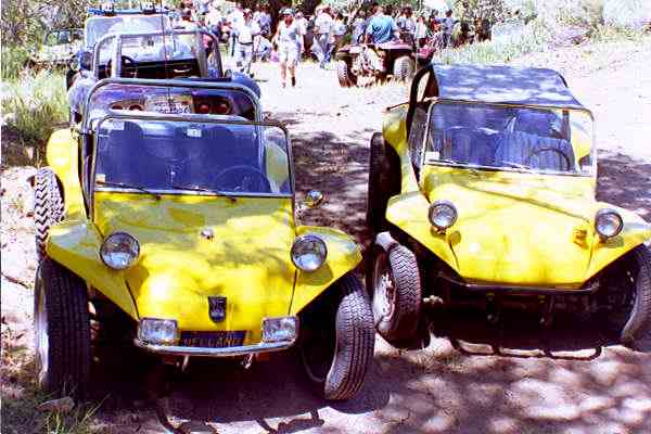 Two Yellow buggies in Rodrigez Canyon